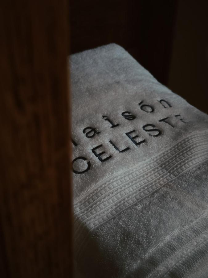 Maison Celeste Мексико Сити Екстериор снимка